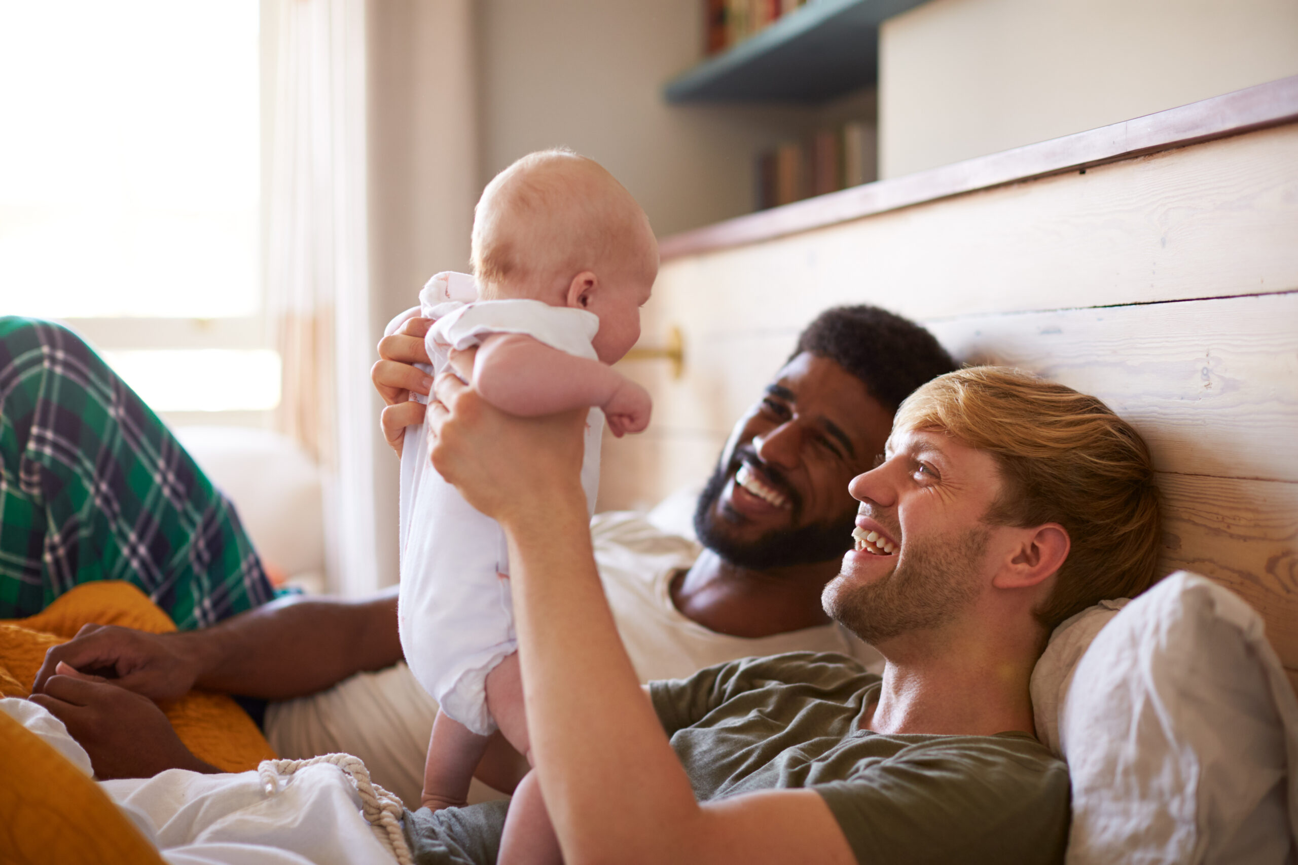 La moderna legge sulla fertilità